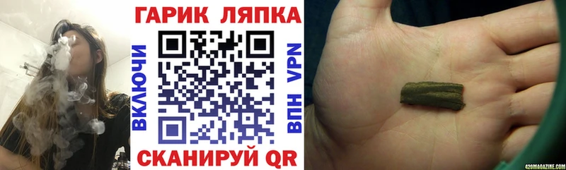 ГАШ Изолятор  Светлогорск 